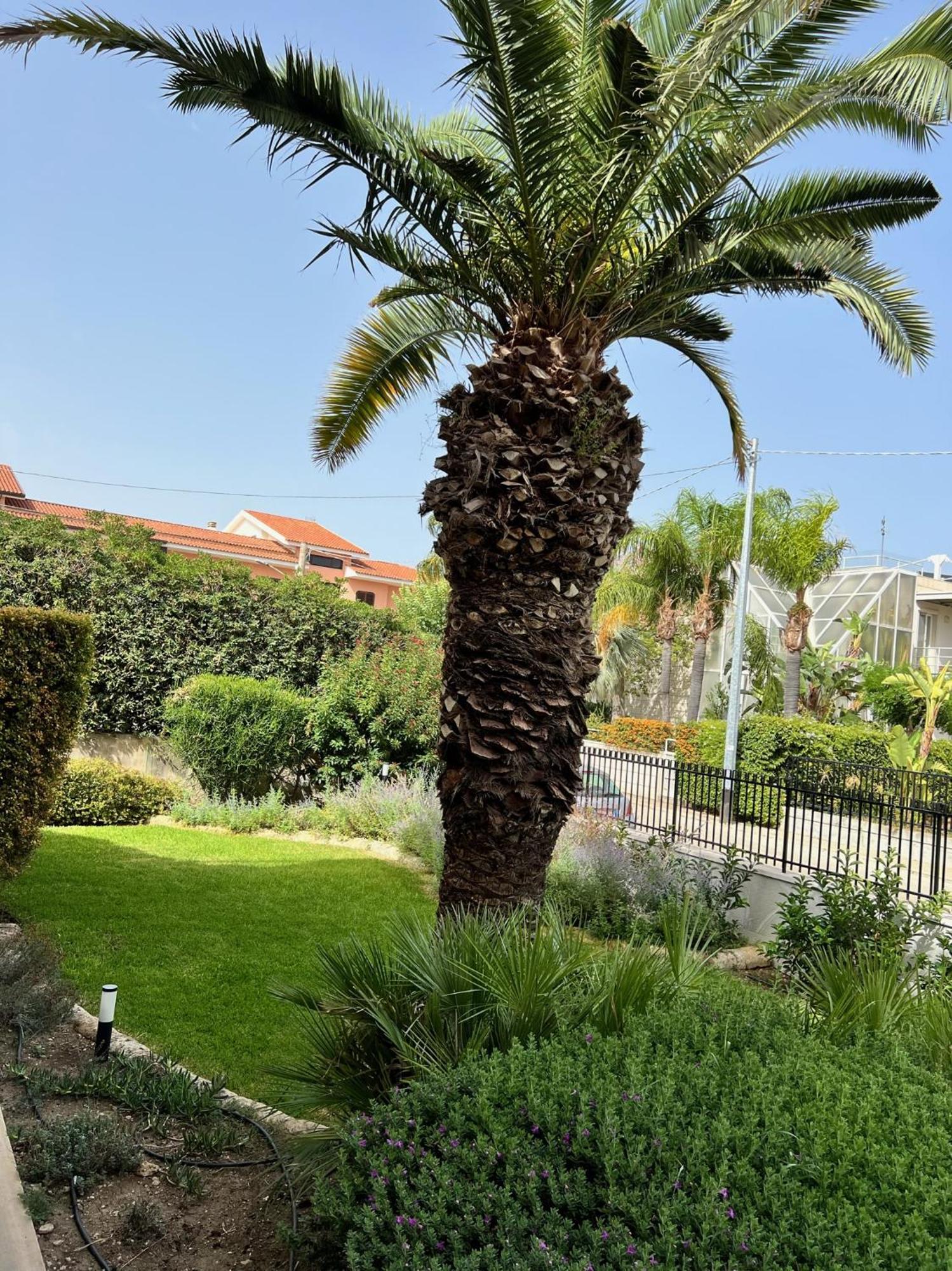 Rocamar Apartment Авола Екстериор снимка